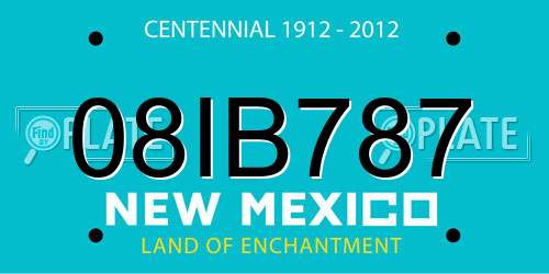 08IB787 New Mexico License Plate
