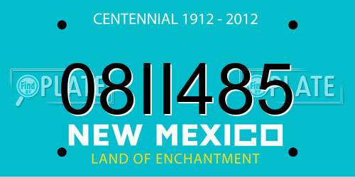 08II485 New Mexico License Plate