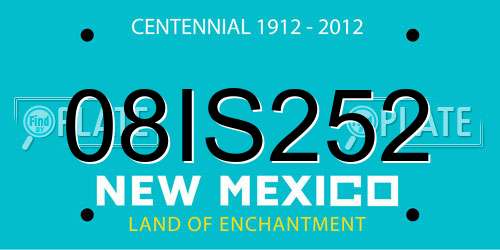08IS252 New Mexico License Plate