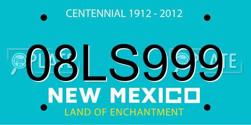 08LS999 New Mexico License Plate
