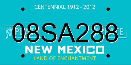 08SA288 New Mexico License Plate