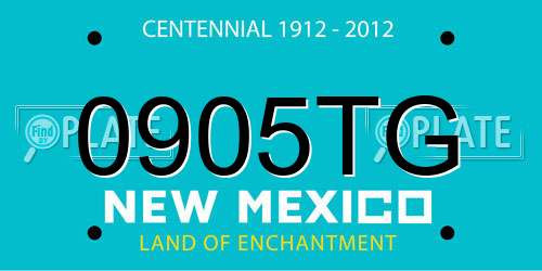 0905TG New Mexico License Plate