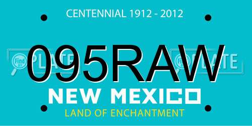 095RAW New Mexico License Plate
