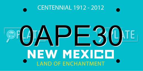 0APE30 New Mexico License Plate