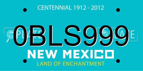 0BLS999 New Mexico License Plate