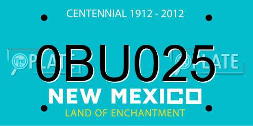 0BU025 New Mexico License Plate
