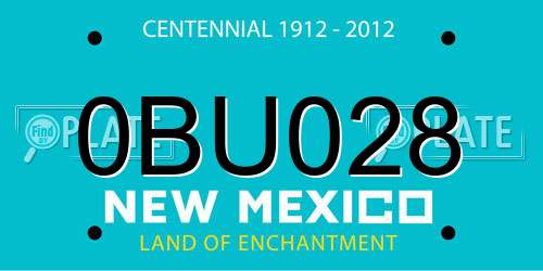 0BU028 New Mexico License Plate