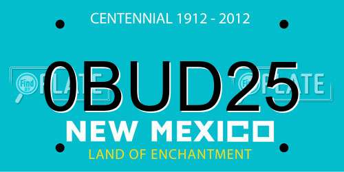 0BUD25 New Mexico License Plate