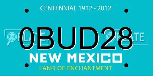 0BUD28 New Mexico License Plate