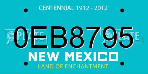 0EB8795 New Mexico License Plate