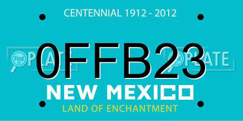 0FFB23 New Mexico License Plate