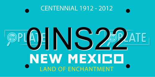 0INS22 New Mexico License Plate