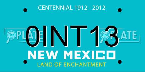 0INT13 New Mexico License Plate