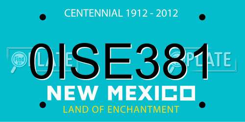 0ISE381 New Mexico License Plate