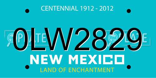 0LW2829 New Mexico License Plate