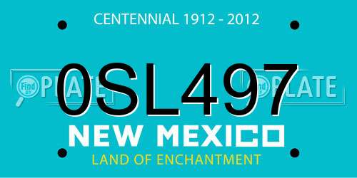 0SL497 New Mexico License Plate