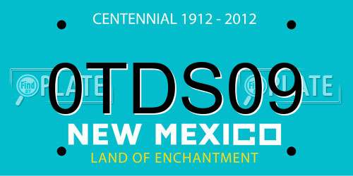 0TDS09 New Mexico License Plate