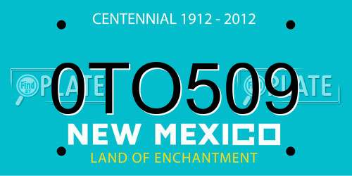 0TO509 New Mexico License Plate