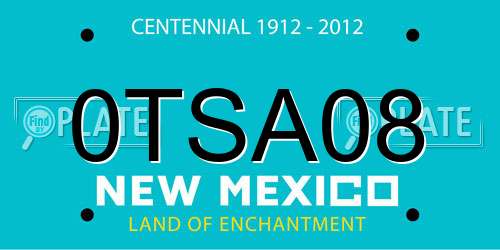 0TSA08 New Mexico License Plate