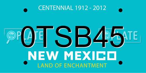 0TSB45 New Mexico License Plate