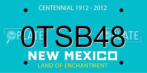 0TSB48 New Mexico License Plate