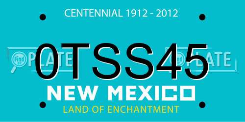 0TSS45 New Mexico License Plate
