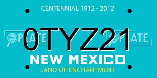 0TYZ21 New Mexico License Plate