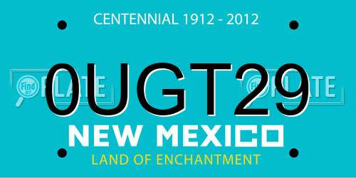 0UGT29 New Mexico License Plate