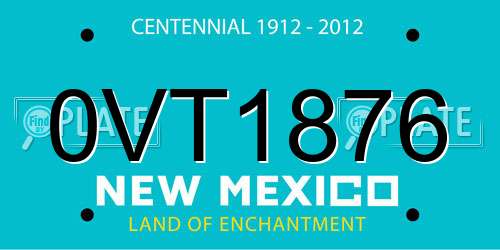 0VT1876 New Mexico License Plate