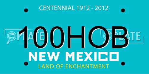 100HOB New Mexico License Plate