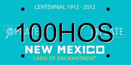 100HOS New Mexico License Plate