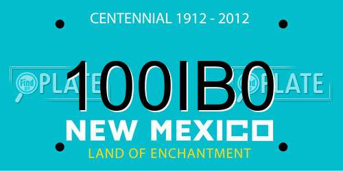 100IB0 New Mexico License Plate