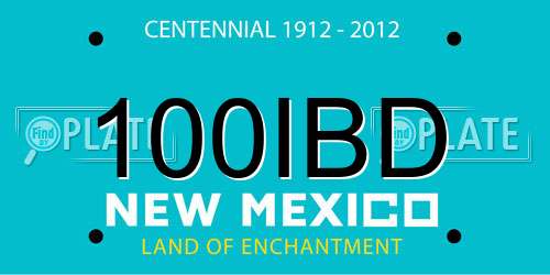 100IBD New Mexico License Plate