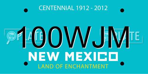 100WJM New Mexico License Plate