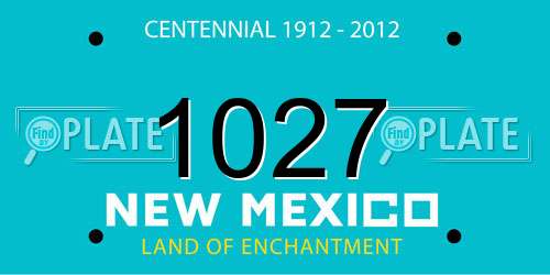 1027 New Mexico License Plate