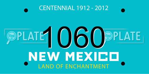 1060 New Mexico License Plate