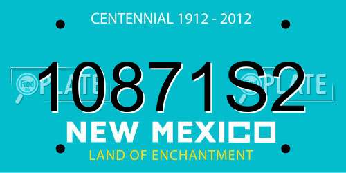 10871S2 New Mexico License Plate