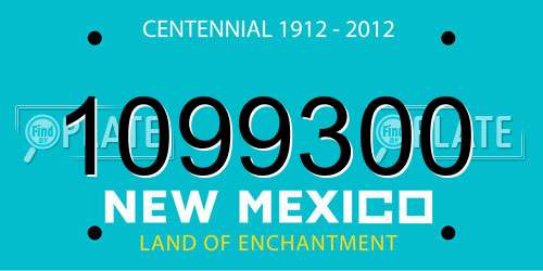 1099300 New Mexico License Plate