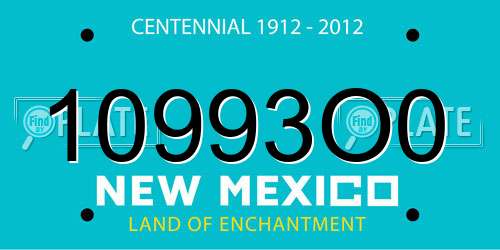 10993O0 New Mexico License Plate