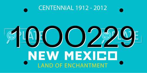10OO229 New Mexico License Plate