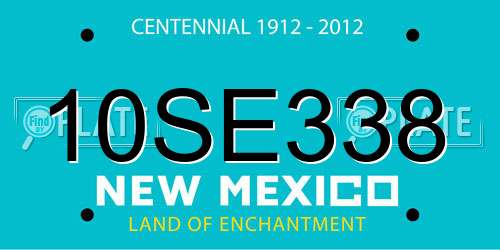 10SE338 New Mexico License Plate