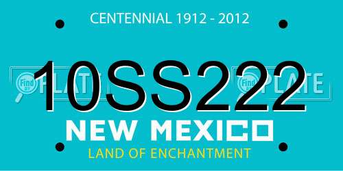 10SS222 New Mexico License Plate