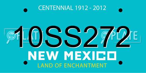 10SS272 New Mexico License Plate