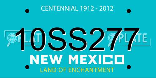 10SS277 New Mexico License Plate