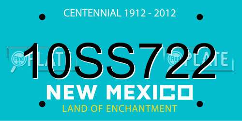 10SS722 New Mexico License Plate