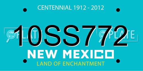 10SS772 New Mexico License Plate