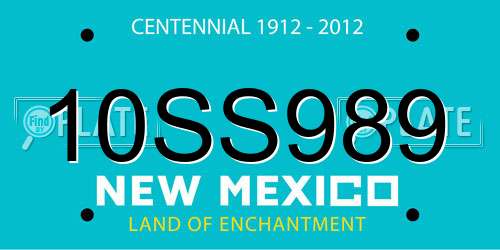 10SS989 New Mexico License Plate