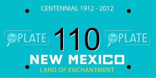 110 New Mexico License Plate