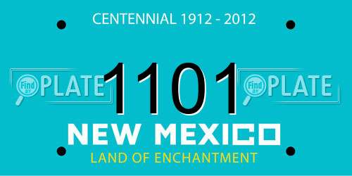1101 New Mexico License Plate