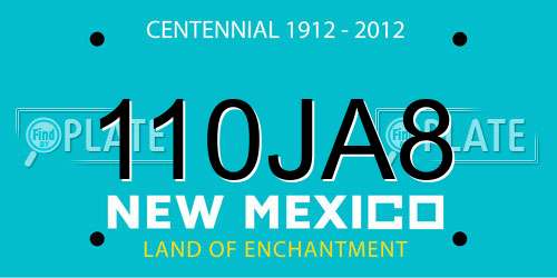 110JA8 New Mexico License Plate